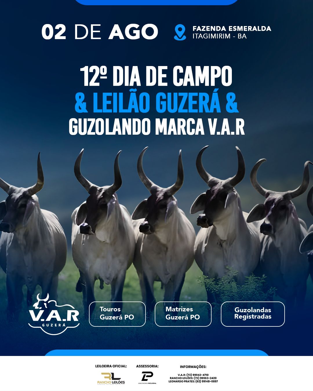 dia-campo-2025